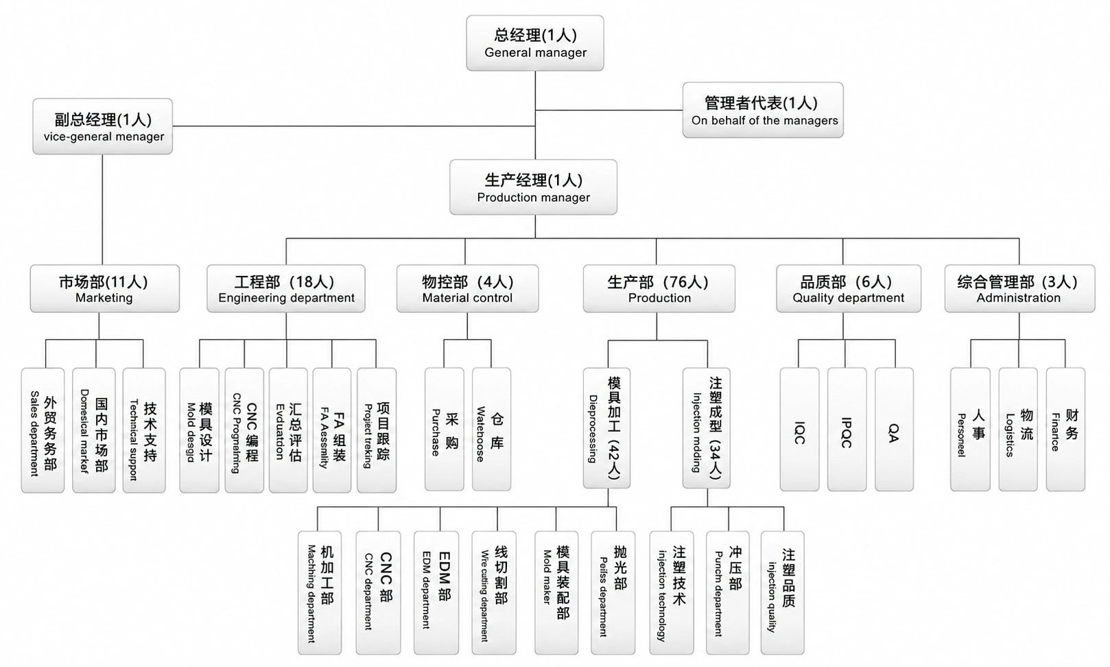 Company Organization 66-1